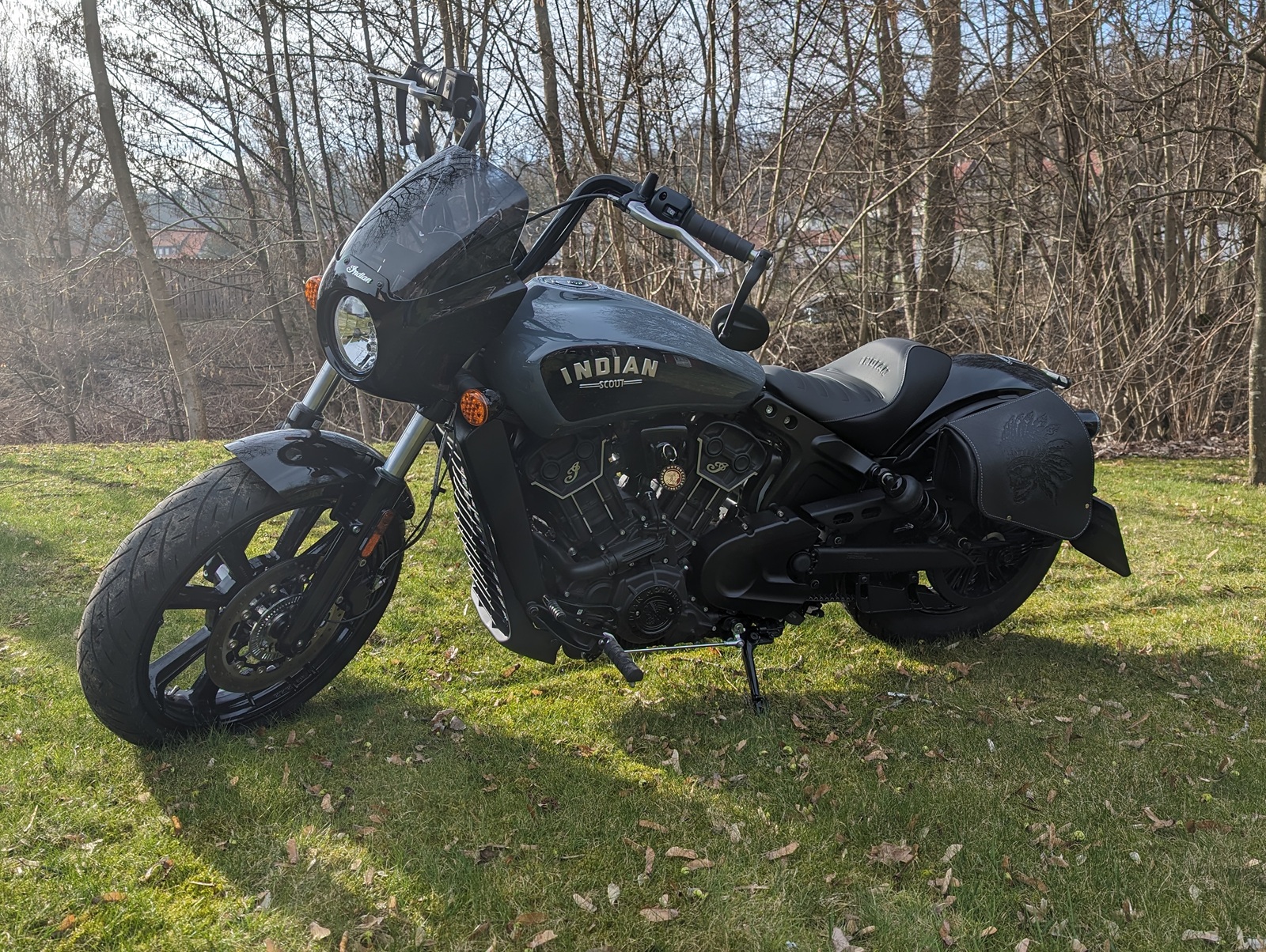 Indian Scout Rogue